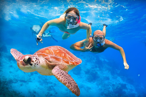 Bali: Snorkling på 2 platser med lunch och transport