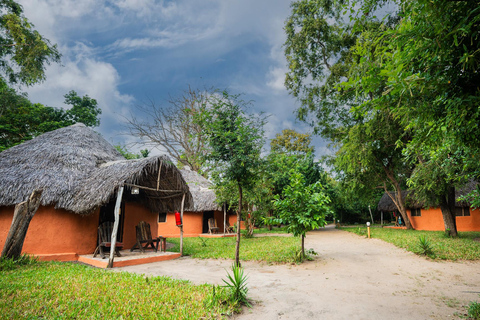 Depuis Zanzibar : Safari de nuit dans le Selous G.R. avec volssafari partagé