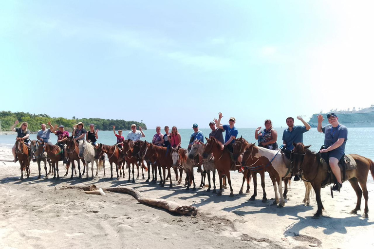 Puerto Plata: Horseback Ride, City Tour, and Coffee Tasting