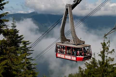 Vancouver: North Shore Favorites Bus Tour