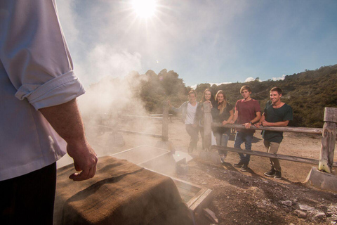 Auckland: Private Tour to Waitomo & Te Puia Valley