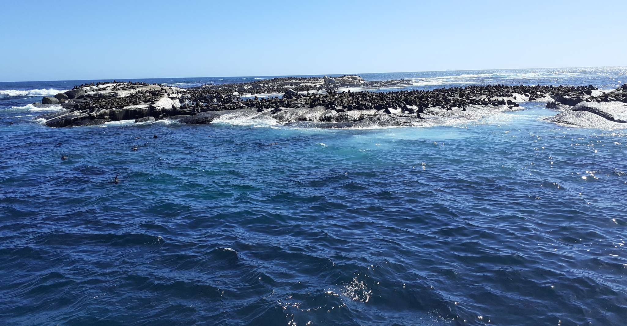 Cape of Good Hope, Sightseeing und African Penguins Tour - Hizvo