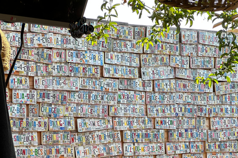 La Paz: Todos Santos Day Trip