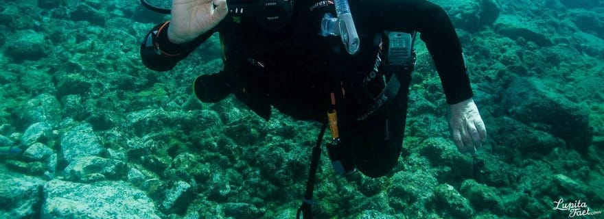 Lanzarote : excursion de snorkeling