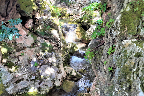 Costa del Sol: Private Tour to Ojen Ojen: Private Half-Day Tour from Marbella or Mijas