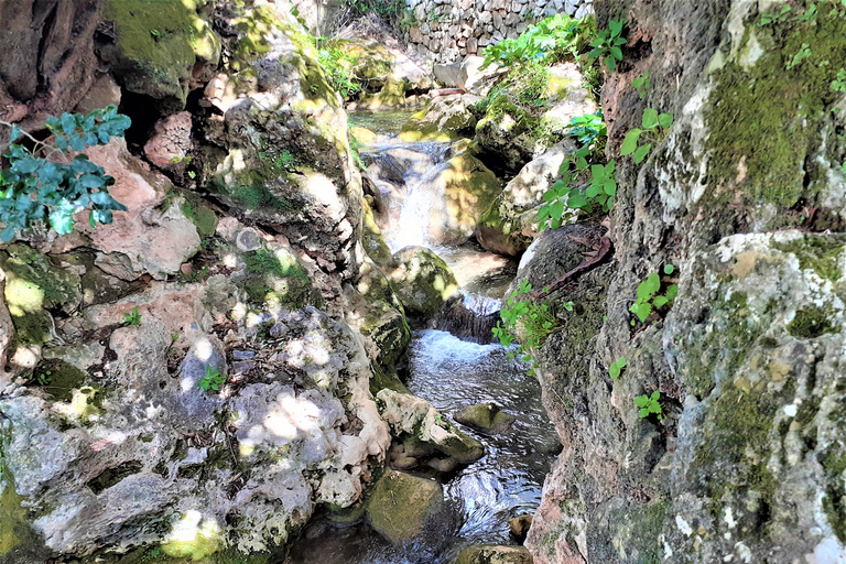 Costa del Sol: Private Tour to Ojen Ojen: Private Half-Day Tour from Marbella or Mijas