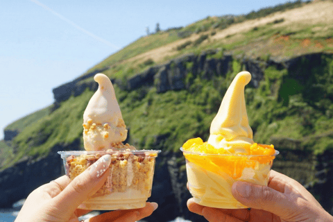 Jeju Island: Udo Island, Rail Bike, and Market Day Tour Private Tour (1-6pax) [9hr]