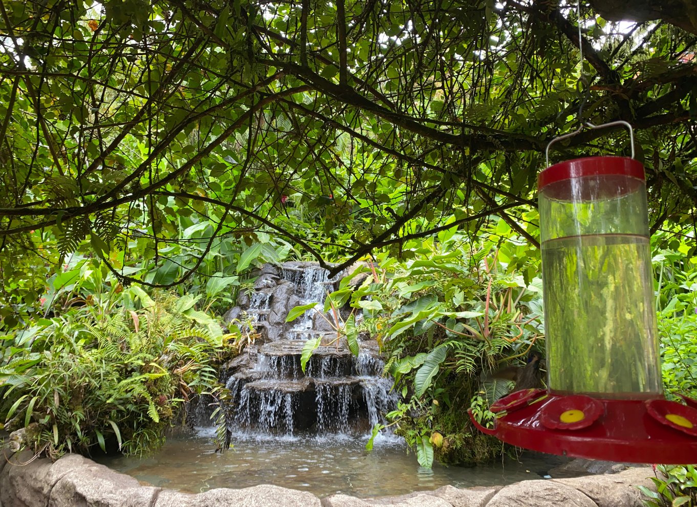 La Paz Waterfall Gardens dagsbillet