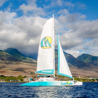 From Kaanapali: West Maui Snorkeling Cruise & Sea Turtles