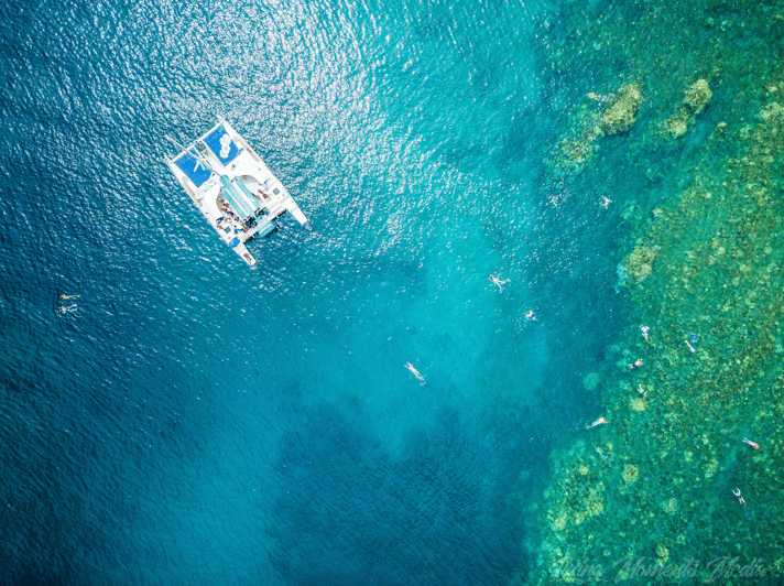 From Kaanapali West Maui Snorkeling Cruise & Sea Turtles GetYourGuide