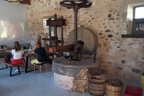 Kalamata: The Olive Oil Routes Tour