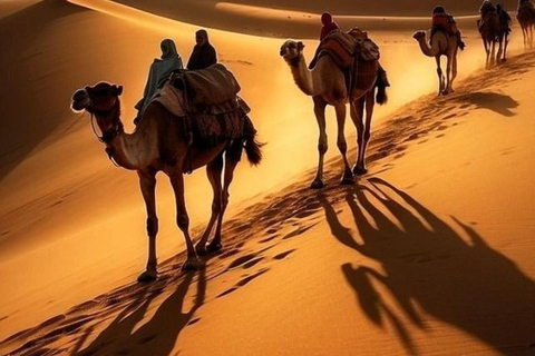 Doha: 4x4 Desert Tour with Inland Sea & Optional Activities Group Tour with QuadBike Ride (ATV)