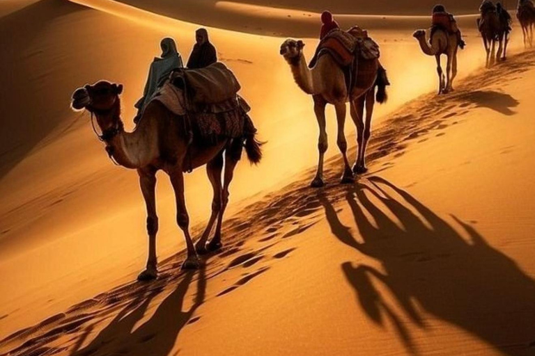 Doha: 4x4 Desert Tour with Inland Sea & Optional Activities Group Tour with QuadBike Ride (ATV)