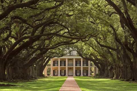 New Orleans: Swamp Boat Ride and Oak Alley Plantation Tour