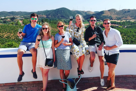 Desde Albufeira: tour de cata de vinos y visita a Silves