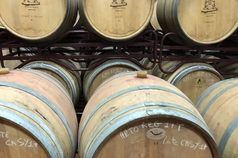 D'Albufeira: visite de dégustation de vin et visite de Silves