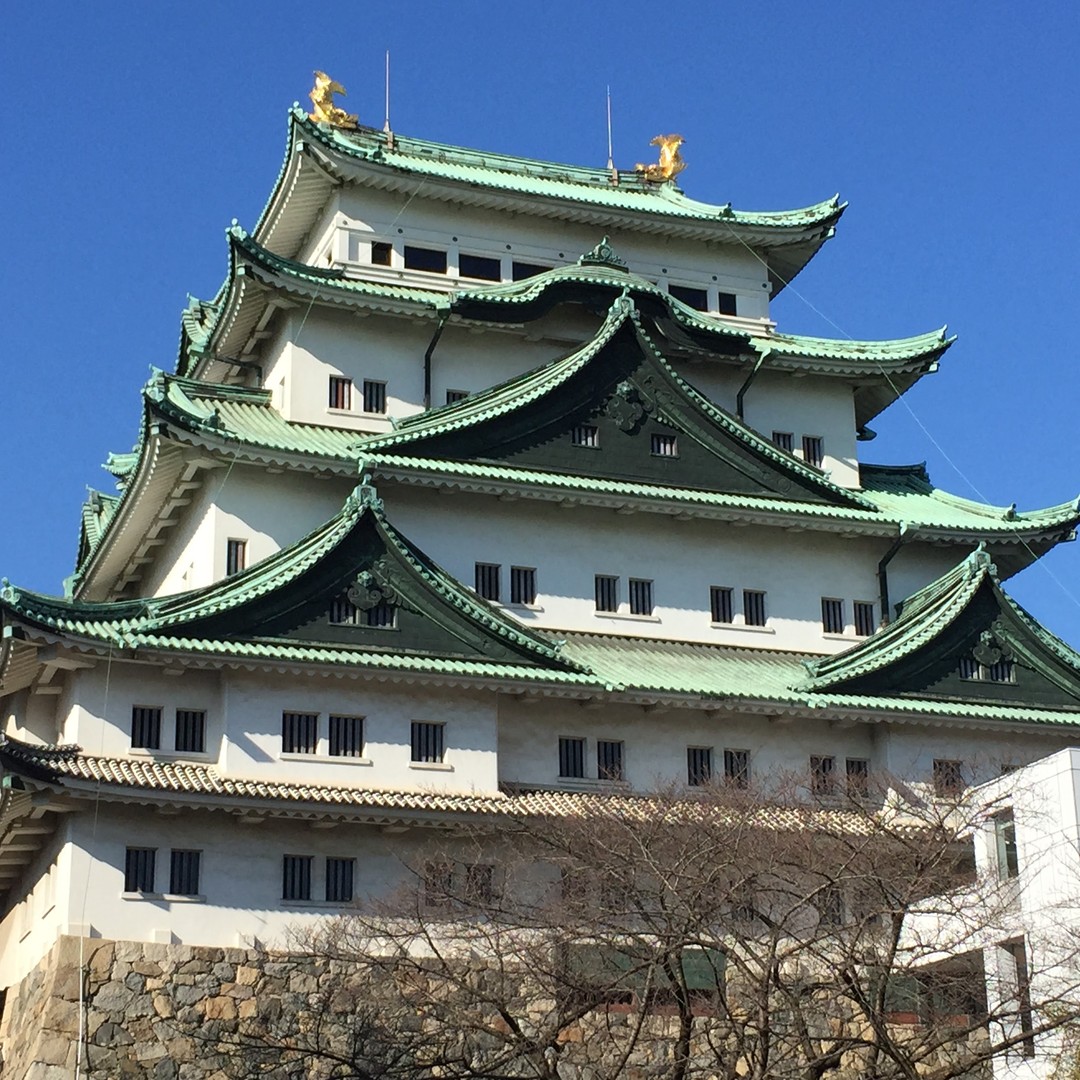 メディア コラージュ