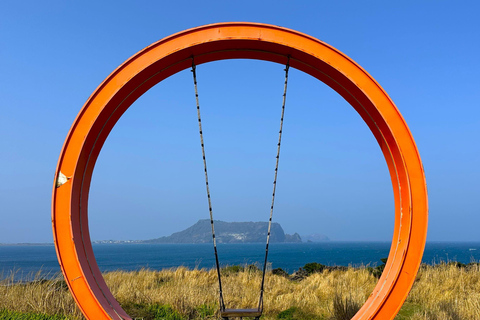 Ost-Jeju-Kirschblüte, Mandarinenpflücken Kleingruppentour