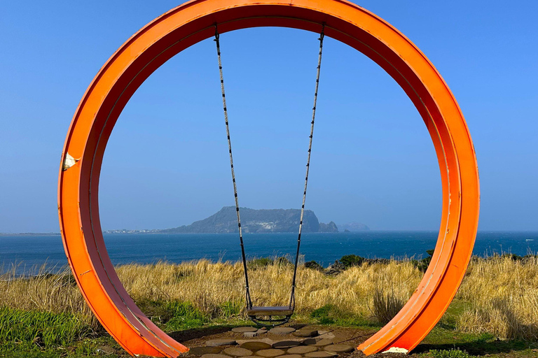 Ost-Jeju-Kirschblüte, Mandarinenpflücken Kleingruppentour