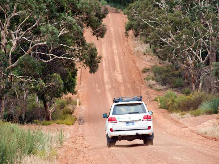 kangaroo island 4 wheel drive tours