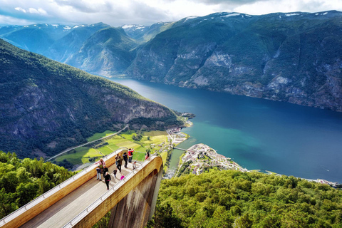 Tour guiado privado al Crucero por el Nærøyfjord de Oslo y al Ferrocarril de Flåm