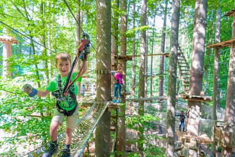 Seilpark Interlaken Climbing Ticket