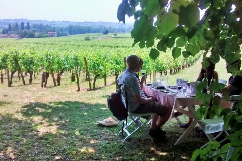 De Bordeaux : visite gastronomie et vins de Saint-Émilion