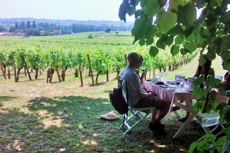 Desde Burdeos: tour guiado de comida y vino en Saint-Émilion