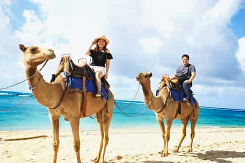Sharm el-Sheikh: Snorkel & Camel Safari at Blue Hole