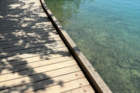 Bled: Lake Bled Guided Walking Tour with Cream Cake