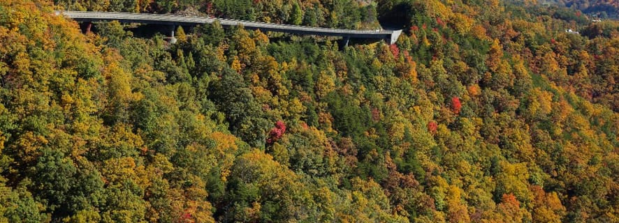 Caduta Nel Parco Nazionale Di Great Smoky Mountains Fotografia Stock Caduta Nel Parco Nazionale Di Great Smoky Mountains Image80170652 - Foto 7