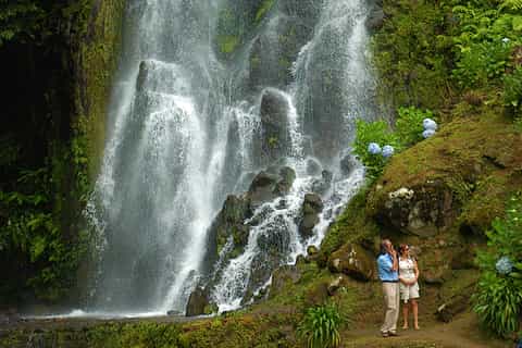 São Miguel East & Northeast: Furnas & Nordeste Full-Day Tour