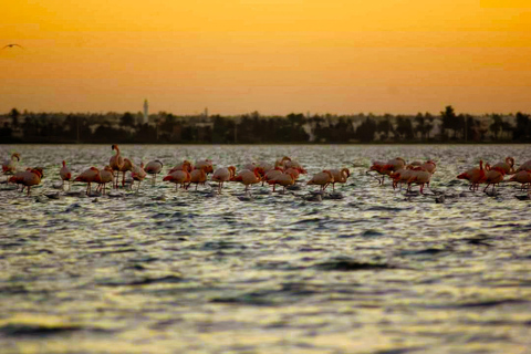 Piratskeppsresa till den förtrollade Flamingoön i Djerba