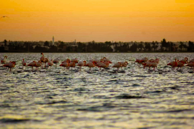 Viagem de navio pirata para a Ilha Encantada do Flamingo em Djerba