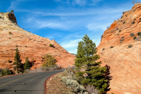 From Las Vegas: VIP Small-Group Zion National Park Adventure Shared Tour