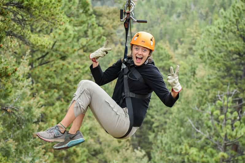 Denver 6Zipline Rocky Mountains Adventure Tour GetYourGuide