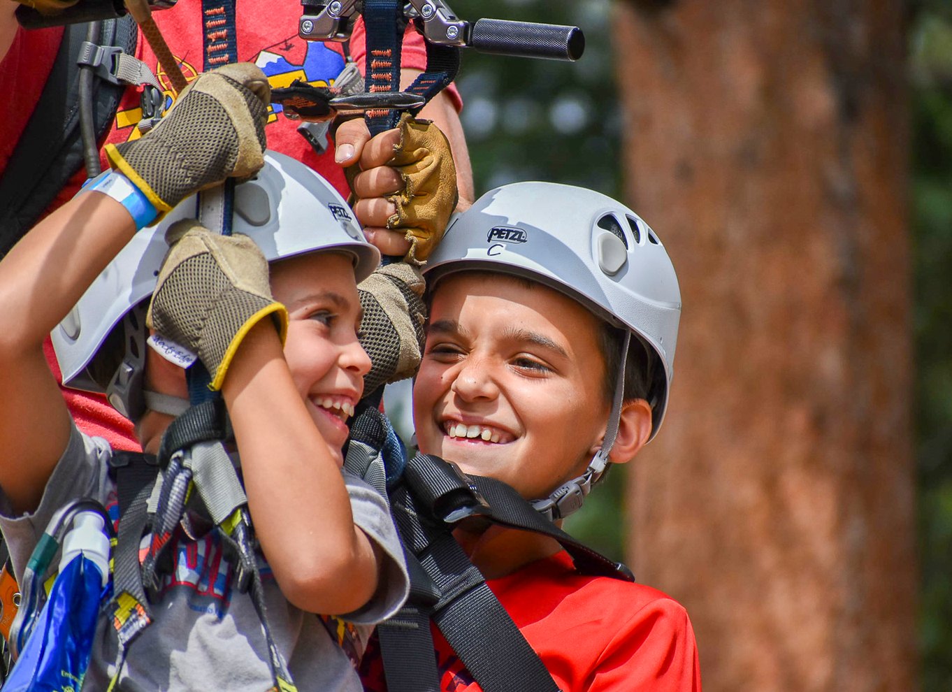 Denver: 6-Zipline Rocky Mountains Adventure Tour