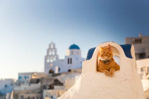Santorini: Instagram Highlights Tour with a Photographer