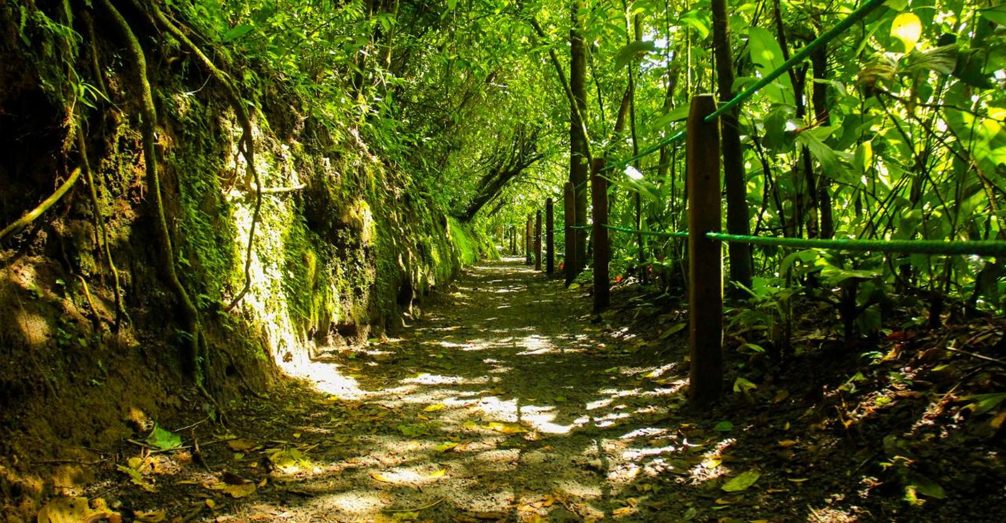 Guanacaste, Arenal Volcano Nature and Hot Springs Tour - Housity