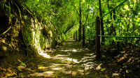 Guanacaste, Arenal Volcano Nature and Hot Springs Tour - Housity