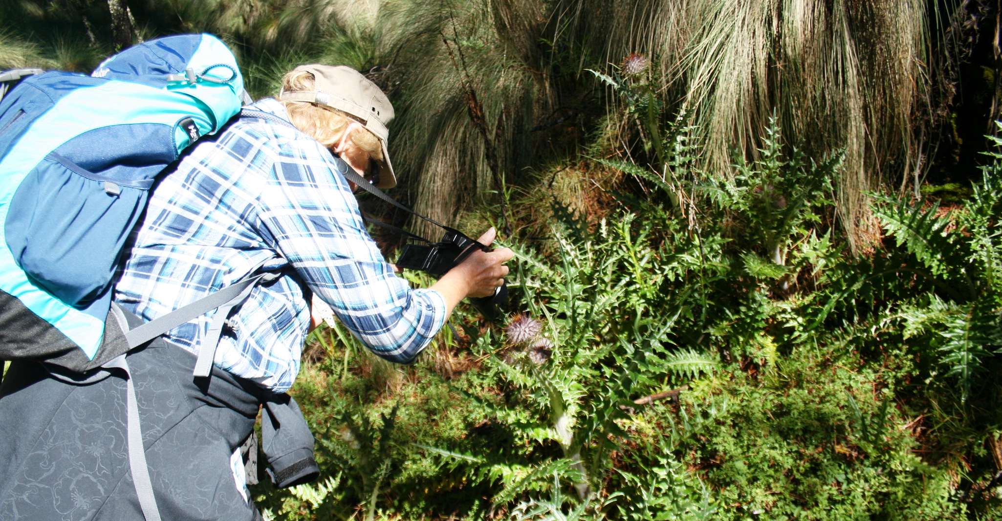 Città del Messico, Trekking Volcano Guidato con Pranzo - Hizvo