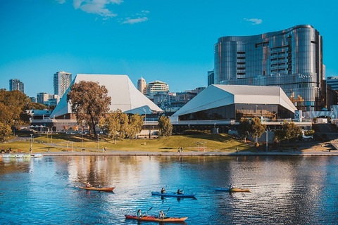 Adelaide: kajakervaring in de stad