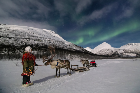 De Tromsø: Passeio noturno de trenó de rena no Camp Tamok