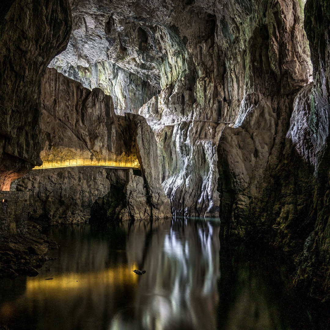 Galería de fotos para redes