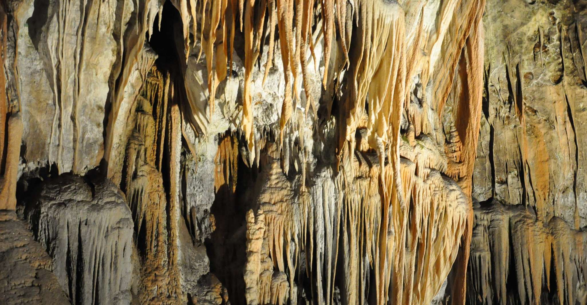 Škocjan Caves and Piran - Housity