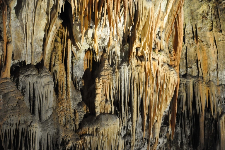 Cuevas de Škocjan y Piran