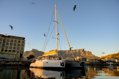 Cape Town: croisière V&A Waterfront Champagne