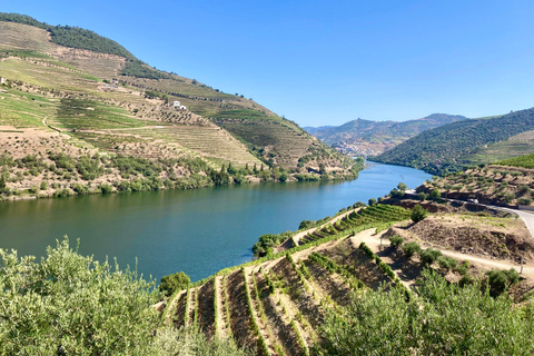 Degustacja wina Douro ValleyDegustacja wina Douro Valley z rejsem po rzece