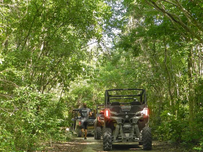 Playa Del Carmen: Buggy Drive to a Cenote & Mayan Village | GetYourGuide