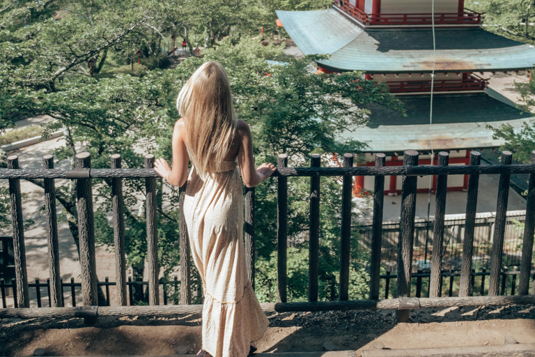 Tokyo: Mount Fuji Private Customizable Tour In Luxury Van